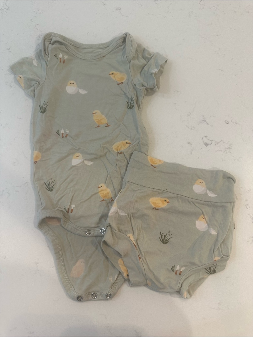 Kyte baby aloe chick bodysuit & bummies set